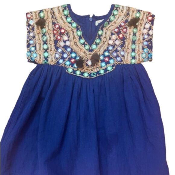 Pink Chicken Dress with Embroidered Details - Picture 1 of 9